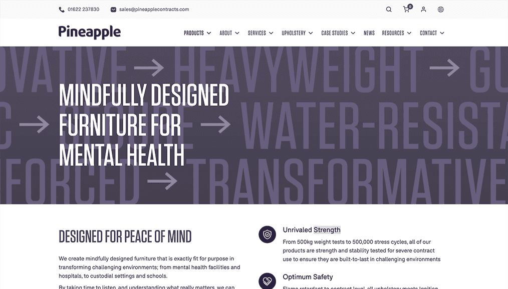 Ecommerce website wireframe showing landing page layout