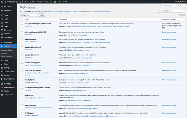 WordPress maintenance checks for a business website
