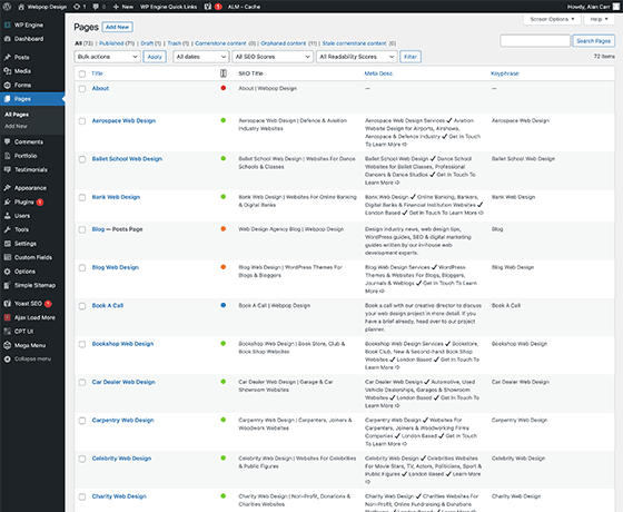 WordPress plugin updates and maintenance checks
